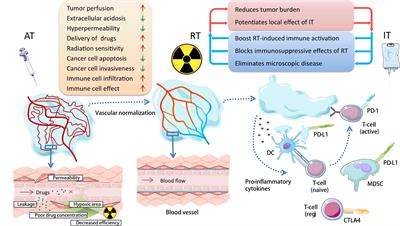 Application basis of combining antiangiogenic therapy with radiotherapy and immunotherapy in cancer treatment